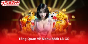 Tổng Quan Về Nohu 888b Là Gì?