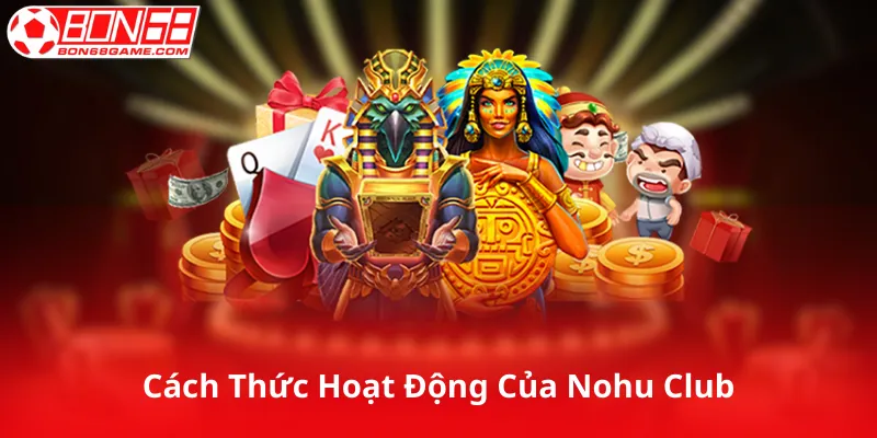 Cách Thức Hoạt Động Của Nohu Club