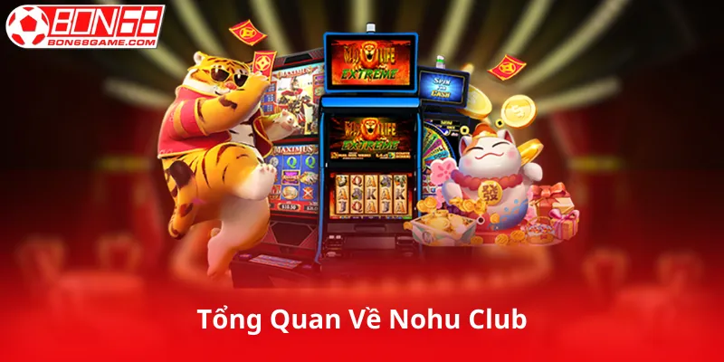 Tổng Quan Về Nohu Club